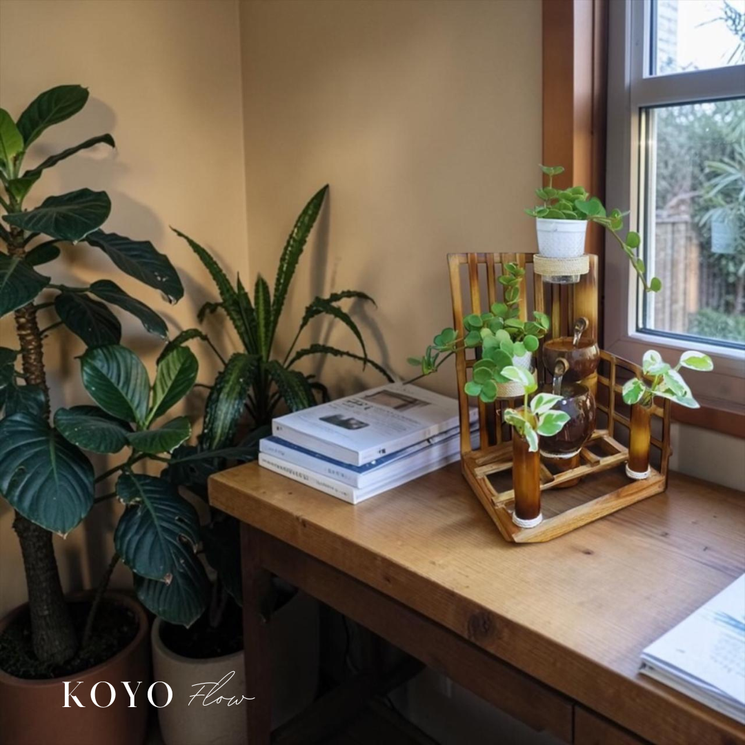 Biophilic Corners for Indian Apartments