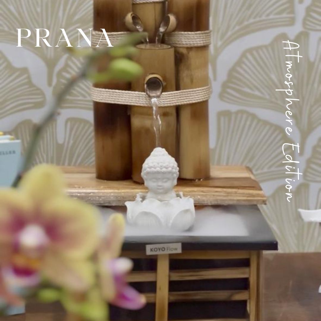 Prana - The Breath Column